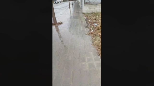 amir_funn  06-03-2022